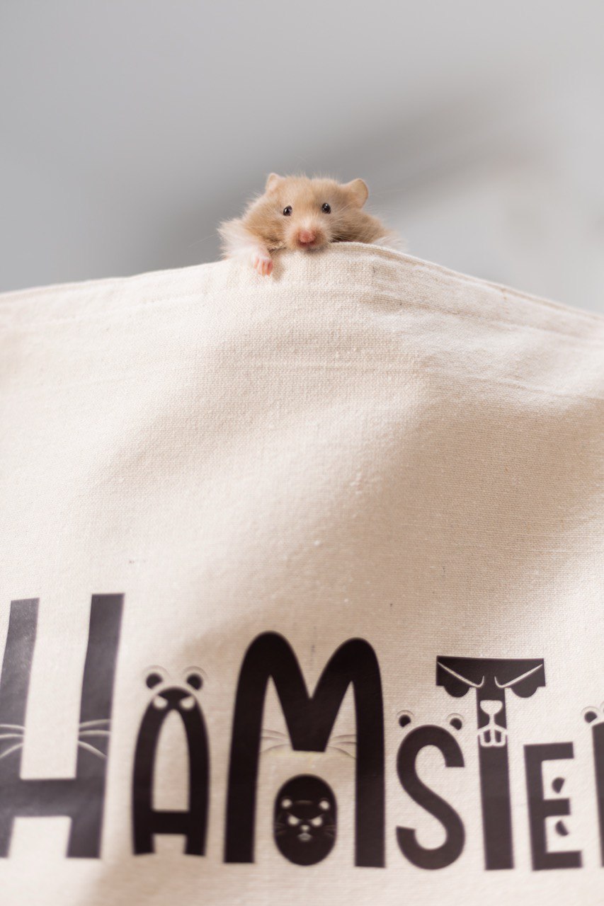 Hamster Soft Touch Tee